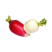 ai gegenereerd drijvend van rood en wit daikon met een mild smaak, geïsoleerd transparant achtergrond png