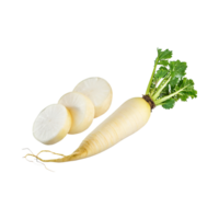 ai generiert schwebend von Weiß Daikon mit ein mild Geschmack, ohne Schatten, isoliert transparent Hintergrund png