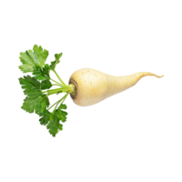 AI generated Floating Of Parsnip, Without Shadow, Isolated Transparent Background png