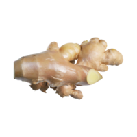 AI generated Floating Of White And Brown Ginger, Without Shadow,  Isolated Transparent Background png