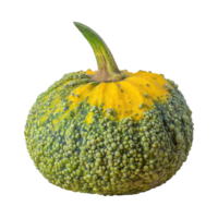 ai generato verde e giallo zucca con un' accidentato superficie, senza ombra, isolato trasparente sfondo png