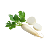 AI generated Floating Of White Daikon With A Mild Flavor, Without Shadow, Isolated Transparent Background png