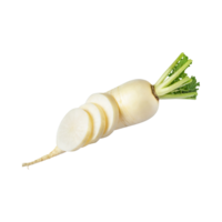 ai generiert schwebend von Weiß Daikon mit ein mild Geschmack, ohne Schatten, isoliert transparent Hintergrund png