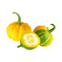 AI generated Floating Of Bunch Yellow Green Gourd With Sliced, Without Shadow, Isolated Transparent Background png