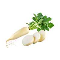 AI generated Floating Of White Daikon With A Mild Flavor, Without Shadow, Isolated Transparent Background png