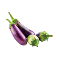 AI generated Floating Of Purple And Green Eggplant With A Smooth Skin, Isolated Transparent Background png