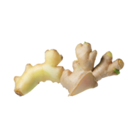 AI generated Floating Of White And Brown Ginger, Without Shadow,  Isolated Transparent Background png