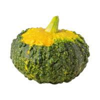 ai generado verde y amarillo calabaza con un con baches superficie, sin sombra, aislado transparente antecedentes png