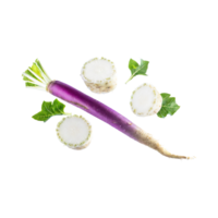 AI generated Floating Of Fresh White Blending To Purple Horseradish With A Pungent Smell With Sliced, Isolated Transparent Background png