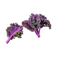 AI generated Floating Of Bunches Purple Kale With Curly Edges, Isolated Transparent Background png