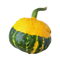 AI generated Floating Of Green And Yellow Gourd With A Bumpy Surface, Isolated Transparent Background png