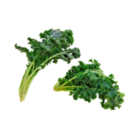 AI generated Floating Of Bunches Green Kale With Curly Edges, Isolated Transparent Background png