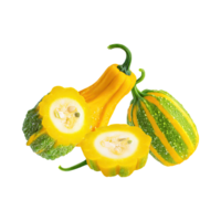 AI generated Floating Of Bunch Yellow Green Gourd With Sliced, Without Shadow, Isolated Transparent Background png