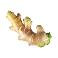 AI generated Floating Of White And Brown Ginger, Without Shadow,  Isolated Transparent Background png
