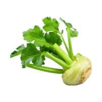 AI generated Floating Of Dirty Celeriac With Sliced, Without Shadow, Isolated Transparent Background png