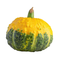 ai generado verde y amarillo calabaza con un con baches superficie, sin sombra, aislado transparente antecedentes png