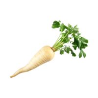 AI generated Floating Of Parsnip, Without Shadow, Isolated Transparent Background png