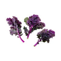 ai généré flottant de grappes violet chou frisé avec frisé bords, isolé transparent Contexte png