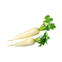 AI generated Floating Of White Daikon With A Mild Flavor, Without Shadow, Isolated Transparent Background png