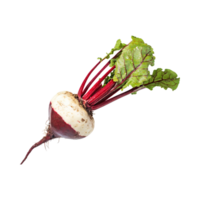 AI generated Floating Of Red And White Beetroot With A Earthy Taste With Sliced, Isolated Transparent Background png