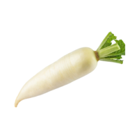 AI generated Floating Of White Daikon With A Mild Flavor, Without Shadow, Isolated Transparent Background png