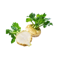 AI generated Floating Of Dirty Celeriac With Sliced, Without Shadow, Isolated Transparent Background png