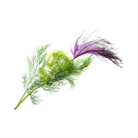 AI generated Floating Of Green And Purple Dill With A Feathery Texture, Isolated Transparent Background png
