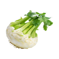 AI generated Floating Of Green And White Celeriac With A Knobby Shape, Isolated Transparent Background png