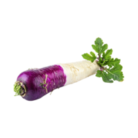 AI generated Small Of White And Purple Horseradish With A Pungent Smell, Isolated Transparent Background png