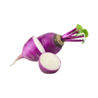 AI generated Floating Of Purple Daikon With Root And Sliced Of It, Without Shadow, Isolated Transparent Background png