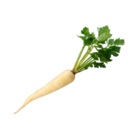 AI generated Floating Of Parsnip, Without Shadow, Isolated Transparent Background png