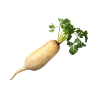 AI generated Floating Of Parsnip, Without Shadow, Isolated Transparent Background png