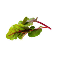 ai généré flottant de vert et rouge oseille avec une citronné saveur, isolé transparent Contexte png