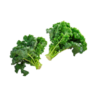 AI generated Floating Of Bunches Green Kale With Curly Edges, Isolated Transparent Background png