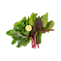 AI generated Floating Of Green And Red Sorrel With A Lemony Flavor, Isolated Transparent Background png