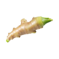 AI generated Floating Of White And Brown Ginger, Without Shadow,  Isolated Transparent Background png