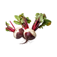 AI generated Floating Of Red And White Beetroot With A Earthy Taste With Sliced, Isolated Transparent Background png