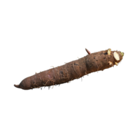 AI generated Floating Of Brown Cassava With Sliced Of Cassava,Earthy, Root ,Isolated Transparent Background png