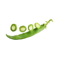 AI generated Floating Of Fresh Beans With Sliced Of Beans, Without Shadow, Isolated Transparent Background png