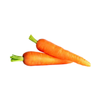 AI generated Floating Of A Fresh Carrot With Sliced Of Carrot, Isolated Transparent Background png