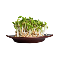 AI generated Floating Bunches Of Bean Sprouts, Without Shadow, Isolated Transparent Background png