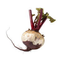 AI generated Floating Of Red And White Beetroot With A Earthy Taste With Sliced, Isolated Transparent Background png