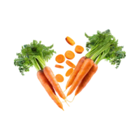 AI generated Floating Of A Fresh Carrot With Sliced Of Carrot, Isolated Transparent Background png