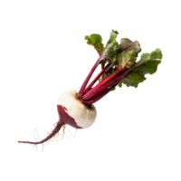 AI generated Floating Of Red And White Beetroot With A Earthy Taste With Sliced, Isolated Transparent Background png