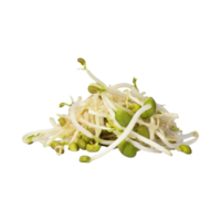 AI generated Indonesian Bean Sprouts, Without Shadow, Isolated Transparent Background png