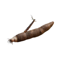 AI generated Floating Of Brown Cassava With Sliced Of Cassava,Earthy, Root ,Isolated Transparent Background png