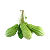 AI generated Slices Of Fresh Chayote, Without Shadow, Isolated Transparent Background png