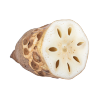 AI generated Floating Of White And Brown Lotus Root With Sliced, Isolated Transparent Background png