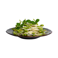 AI generated Floating Bunches Of Bean Sprouts, Without Shadow, Isolated Transparent Background png