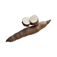 AI generated Floating Of Brown Cassava With Sliced Of Cassava,Earthy, Root ,Isolated Transparent Background png